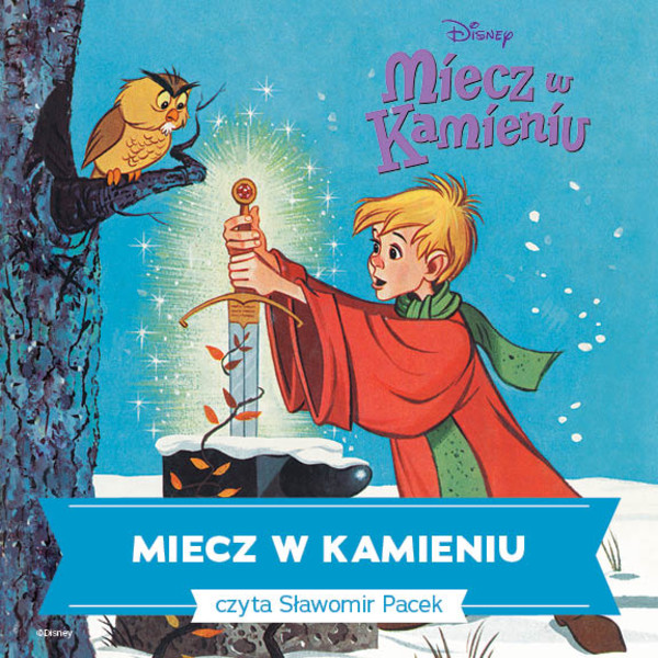 Miecz w kamieniu - Audiobook mp3