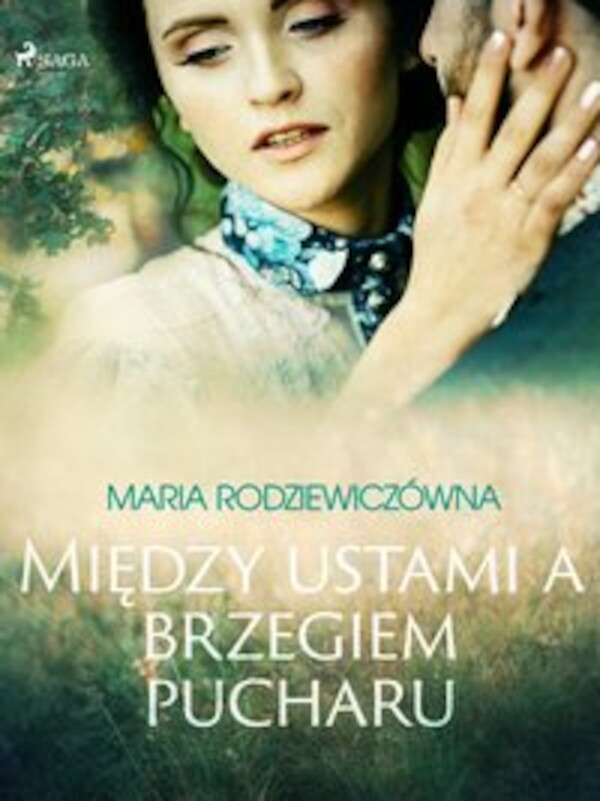 Między ustami a brzegiem pucharu - mobi, epub