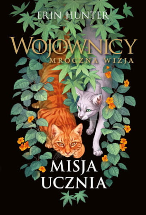 Misja ucznia Wojownicy Mroczna wizja Tom 1