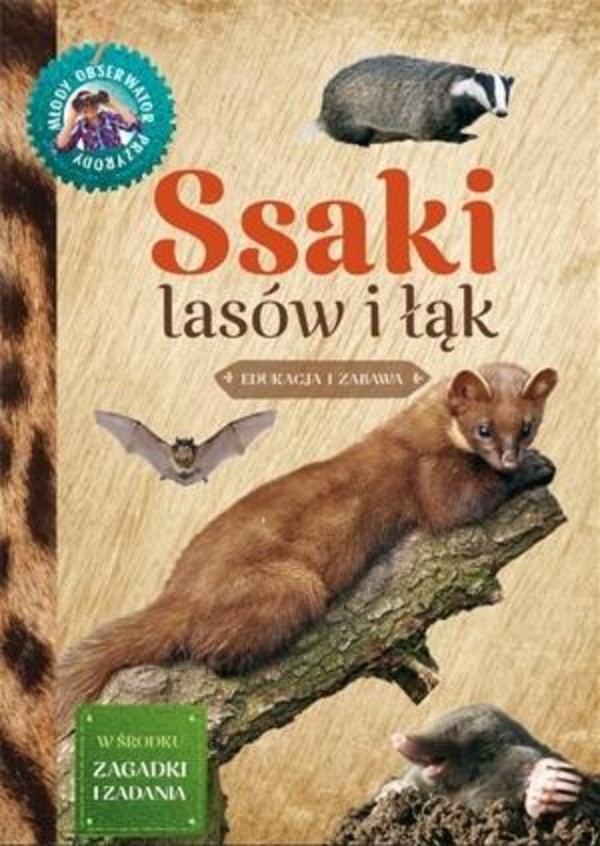 Młody Obserwator Przyrody Ssaki lasów i łąk