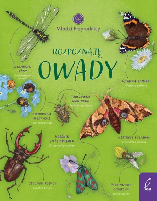 Młodzi przyrodnicy Rozpoznaję owady