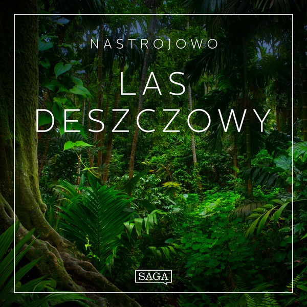 Nastrojowo - Las Deszczowy - Audiobook mp3