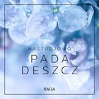 Nastrojowo Pada deszcz - Audiobook mp3