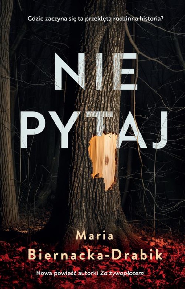 Nie pytaj - epub