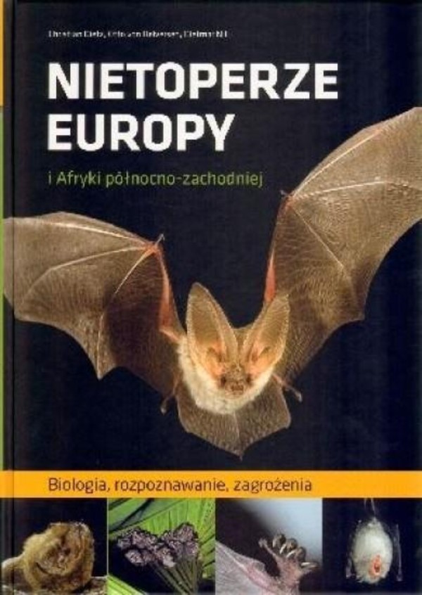 Nietoperze Europy i Afryki północno-zachodniej Biologia, rozpoznawanie, zagrożenia