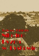 Nikodem Dyzma w Łyskowie - mobi, epub