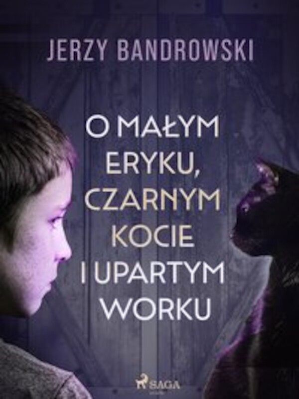 O małym Eryku, czarnym kocie i upartym worku - mobi, epub