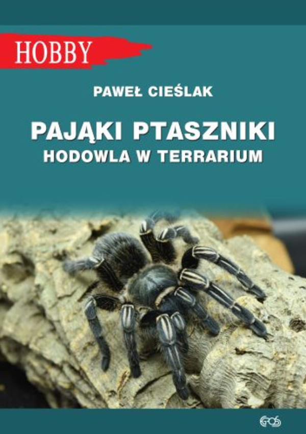 Pająki ptaszniki Hodowla w terrarium