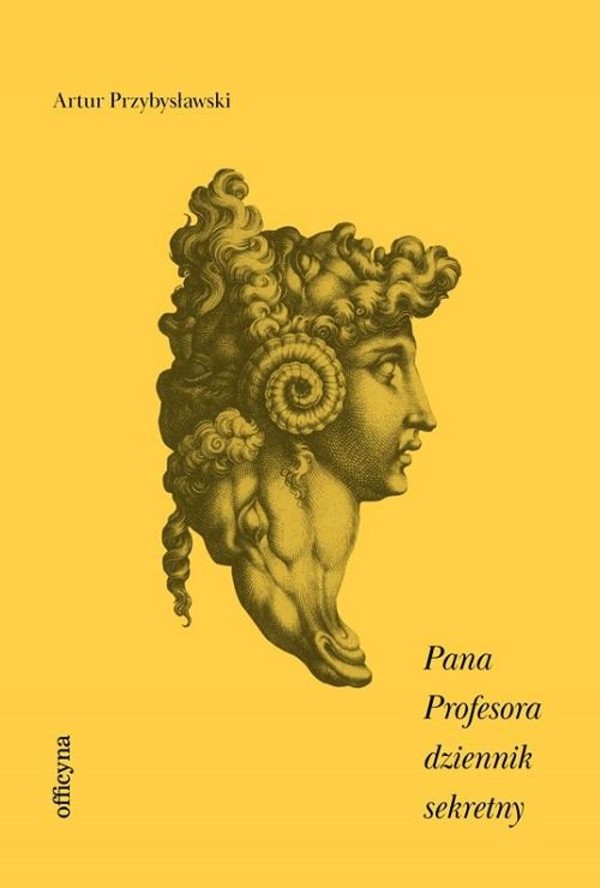 Pana Profesora dziennik sekretny - mobi, epub