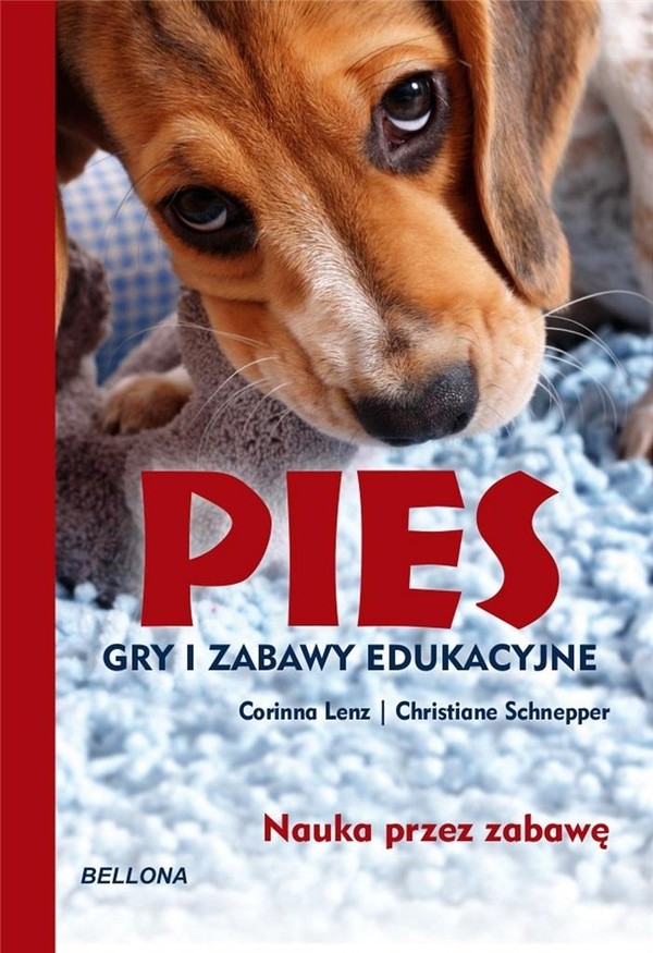 Pies Gry i zabawy edukacyjne