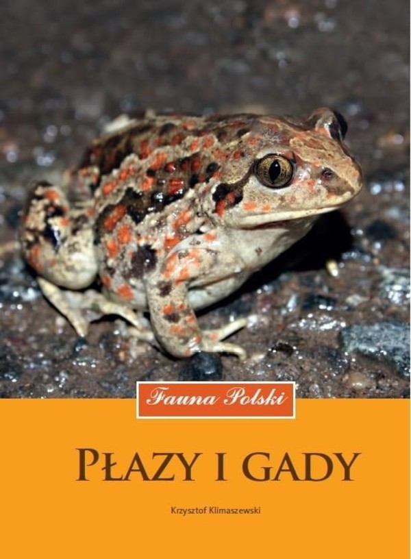 Płazy i gady Fauna Polski