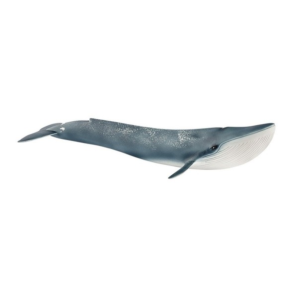 Figurka Płetwal błękitny 14806