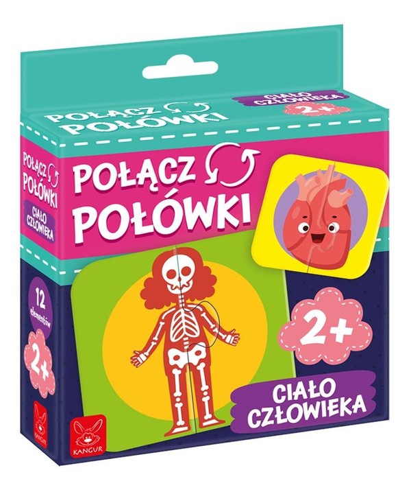 Puzzle Połącz połówki Ciało Człowieka 12 elementów