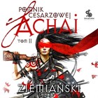 Pomnik cesarzowej Achai t.2 - Audiobook mp3