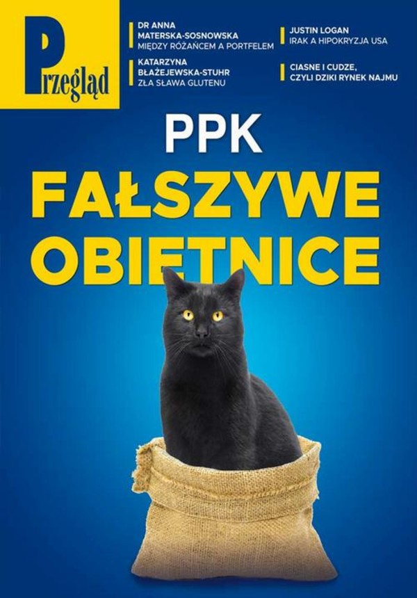 Przegląd. 13 - pdf