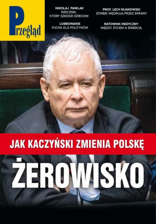 Przegląd. 16 - pdf