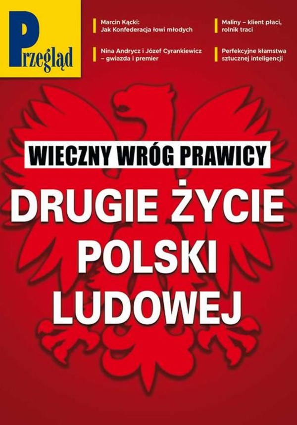 Przegląd. 29 - pdf