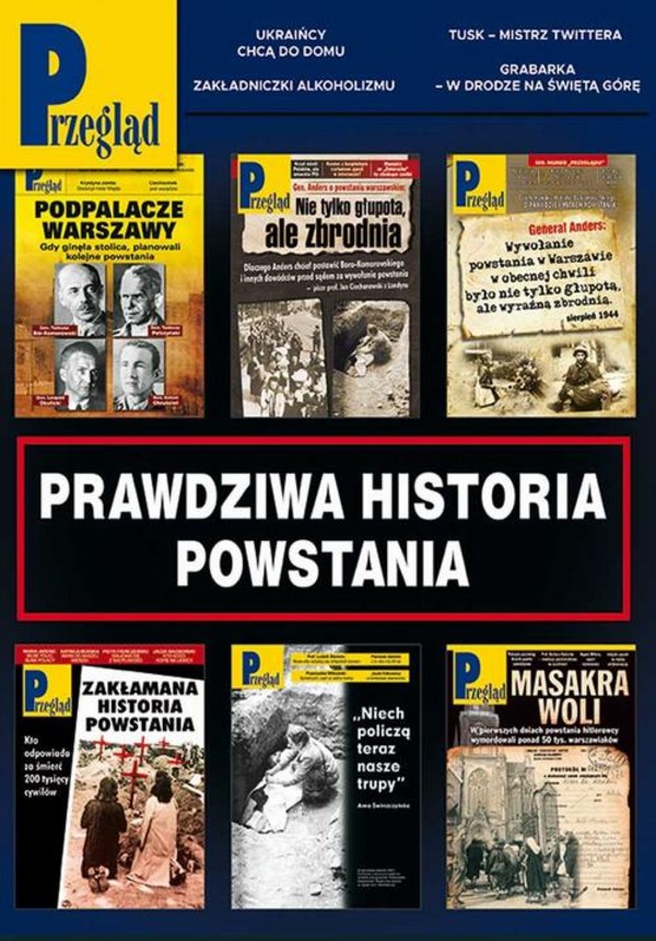 Przegląd. 31 - pdf