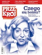 Przekrój nr 28/2013 - pdf Czego się boimy?