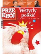 Przekrój nr 4/2011 - pdf Wstydy polskie