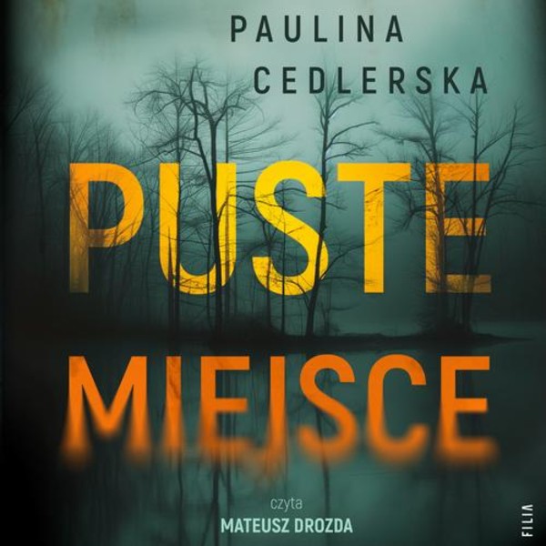 Puste miejsce - Audiobook mp3