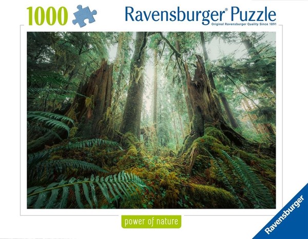 Puzzle Lasy 1000 elementów