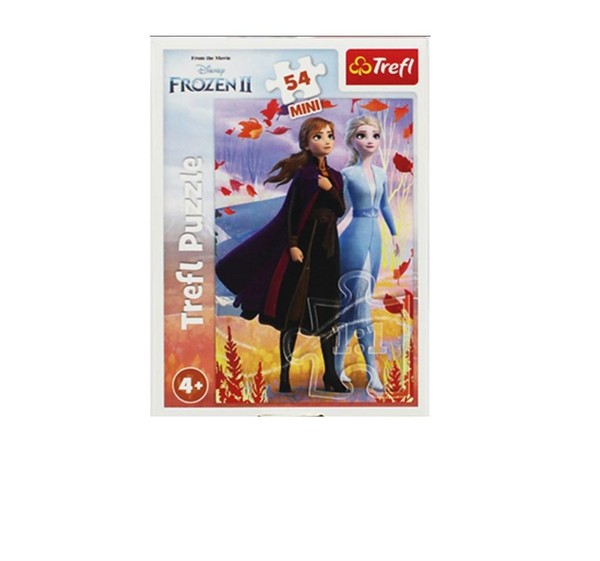 Puzzle mini W świecie Anny i Elsy 54 elementy