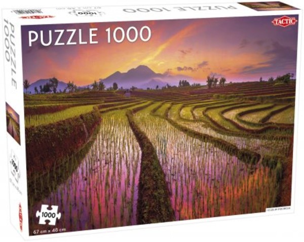 Puzzle Pola w Indonezji 1000 elementów