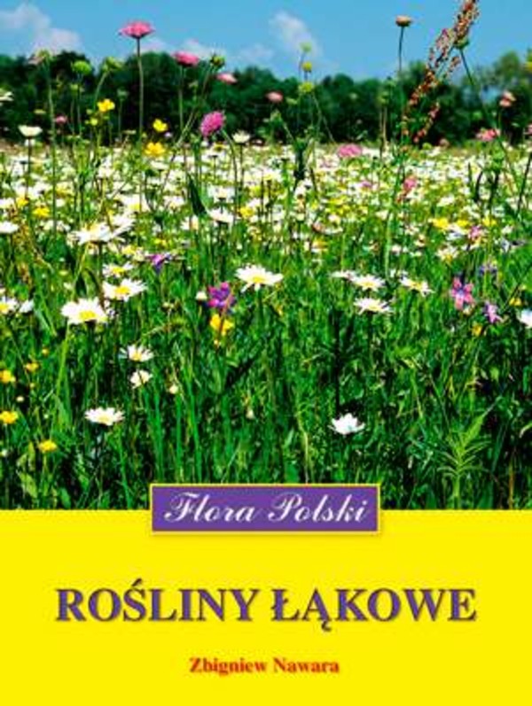 Rośliny łąkowe Flora Polski