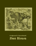 Słoń Birara - mobi, epub