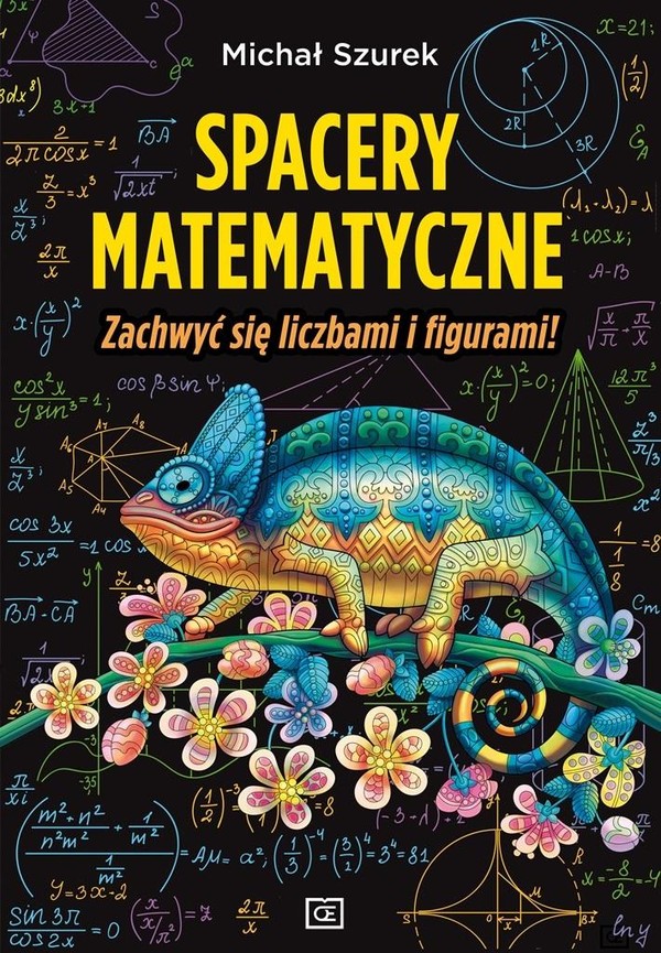 Spacery matematyczne. Zachwyć się liczbami i figurami!