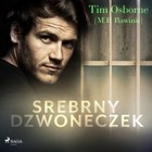 Srebrny dzwoneczek - Audiobook mp3