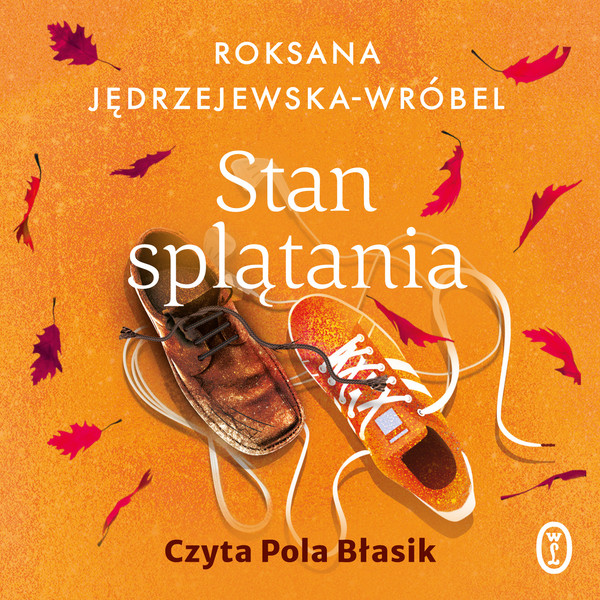 Stan splątania - Audiobook mp3