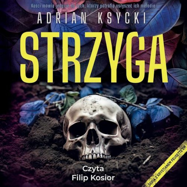 Strzyga - Audiobook mp3