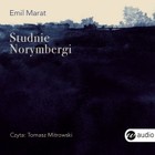 Studnie Norymbergi - Audiobook mp3