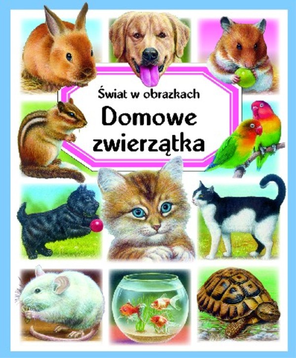 Świat w obrazkach Domowe zwierzątka