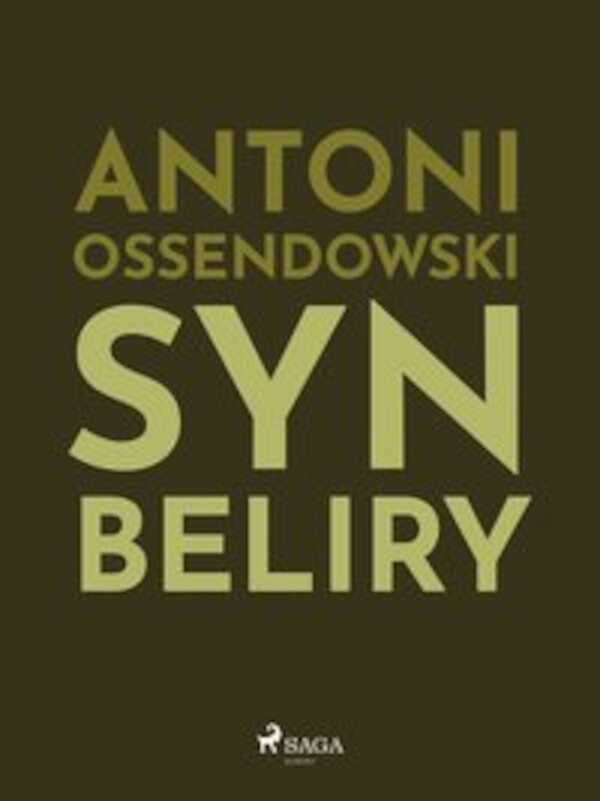 Syn Beliry - mobi, epub