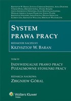 System prawa pracy - pdf TOM IV Indywidualne prawo pracy. Pozaumowne stosunki pracy