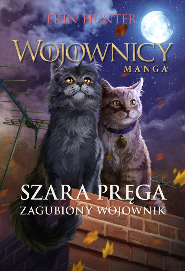 Szara Pręga. Zagubiony wojownik - mobi, epub Manga