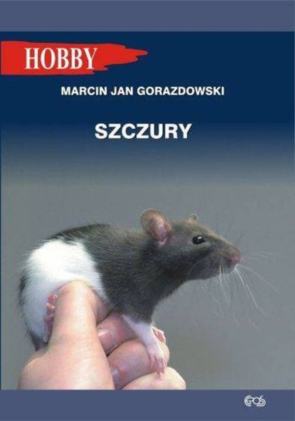 Szczury Hobby