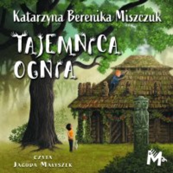 Tajemnica ognia - Audiobook mp3