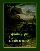 Tajemniczy rybak. Le Pilote du Danube - mobi, epub