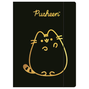 Teczka z gumką A4 300 g/m2. Pusheen gold.