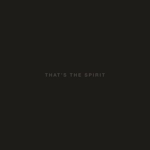 That`s The Spirit (vinyl)