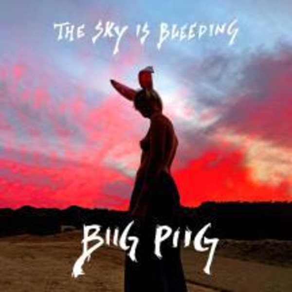The Sky Is Bleeding (vinyl)
