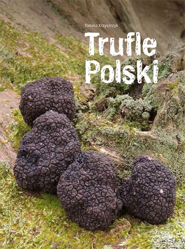 Trufle Polski