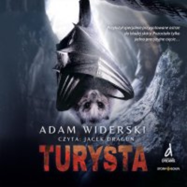 Turysta - Audiobook mp3