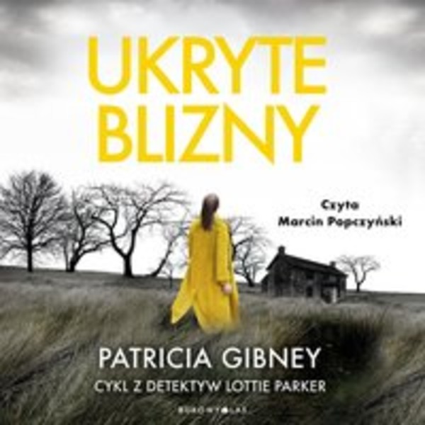 Ukryte blizny - Audiobook mp3