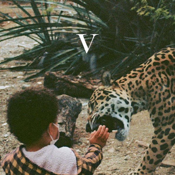 V (vinyl)