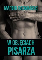 W objęciach pisarza - mobi, epub, pdf